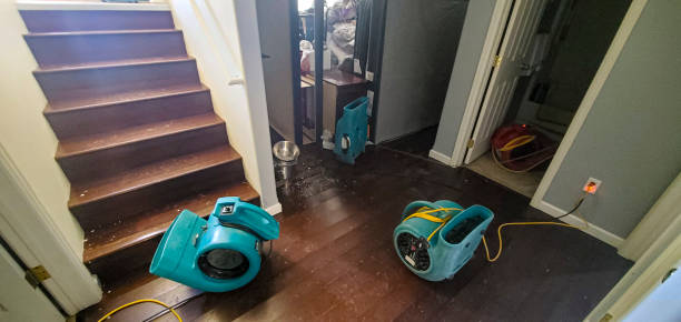 Best Flood restoration services  in Sierra View, PA