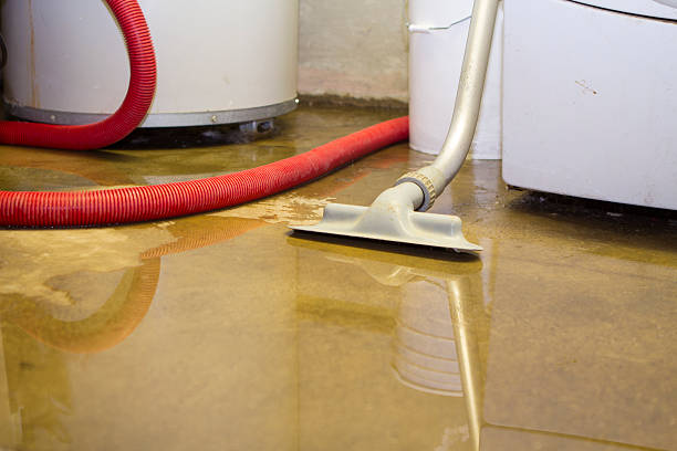 Best Local water damage restoration  in Sierra View, PA