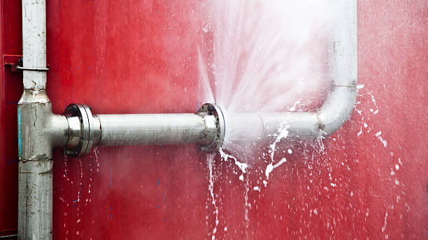 Best Water damage cleanup near me  in Sierra View, PA